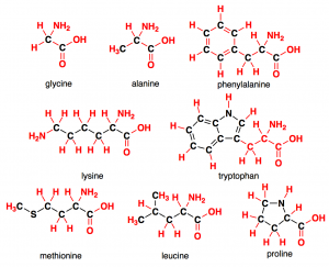grenade aminosyror i PWO